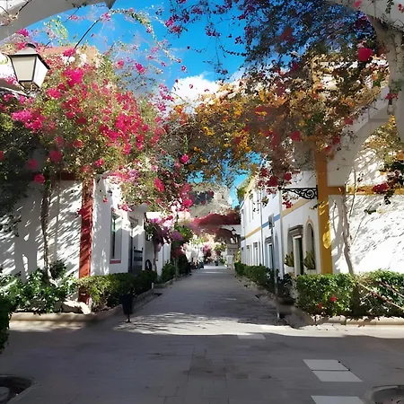Vv Velero Puerto De Mogan