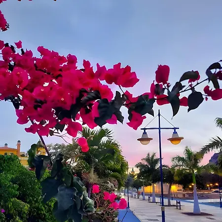 Apartamento Vv Velero Puerto De Mogan